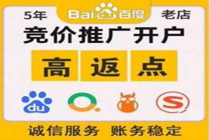SEM专员案例：数据分析与优化